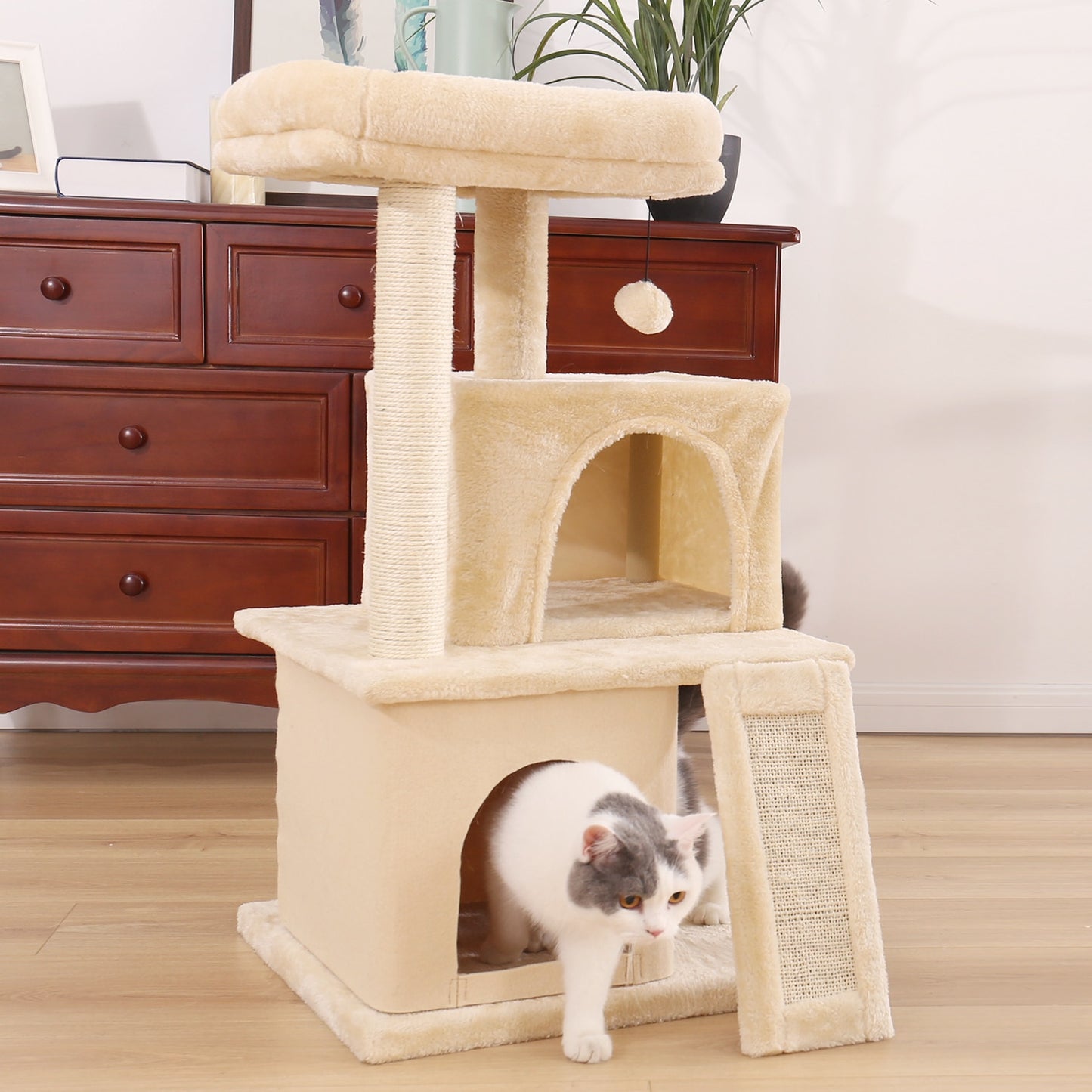 Cat Climbing Tree with Jumping Platform