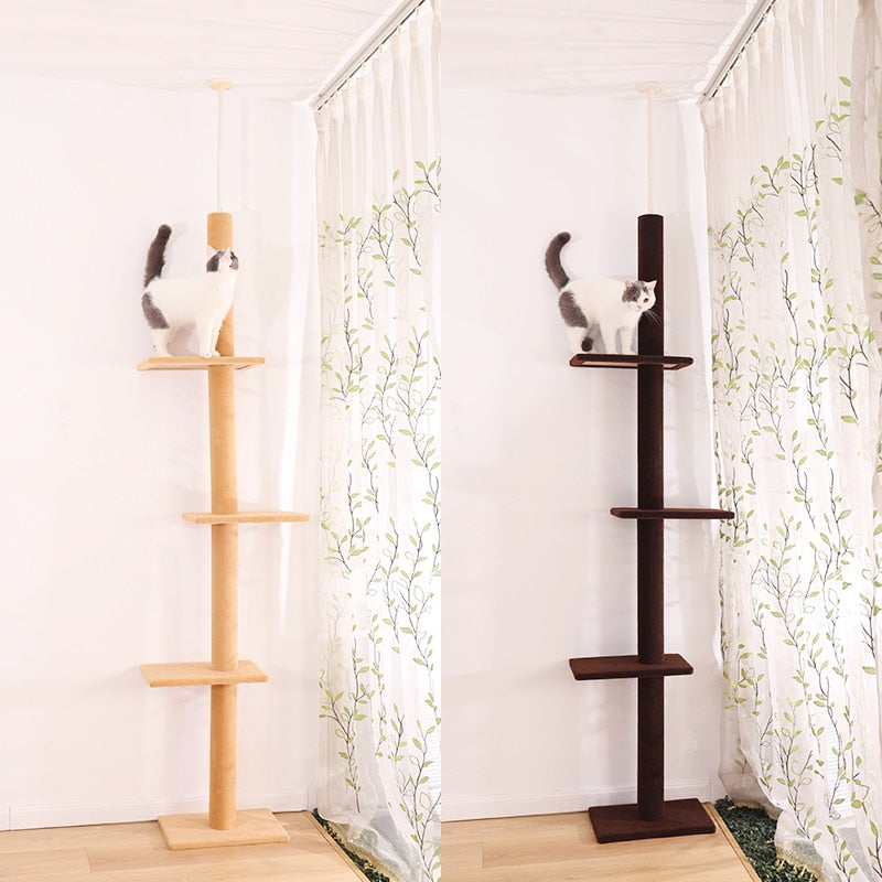 Cat Climbing Tree with Jumping Platform